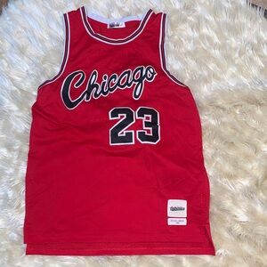 MICHAEL JORDAN AUTHENTICS CHICAGO BULLS